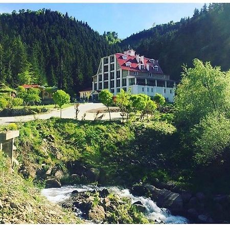 Hotel Green Valley Savsat Екстериор снимка