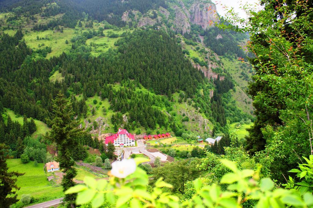 Hotel Green Valley Savsat Екстериор снимка