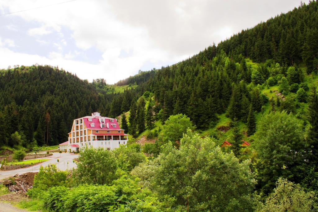 Hotel Green Valley Savsat Екстериор снимка