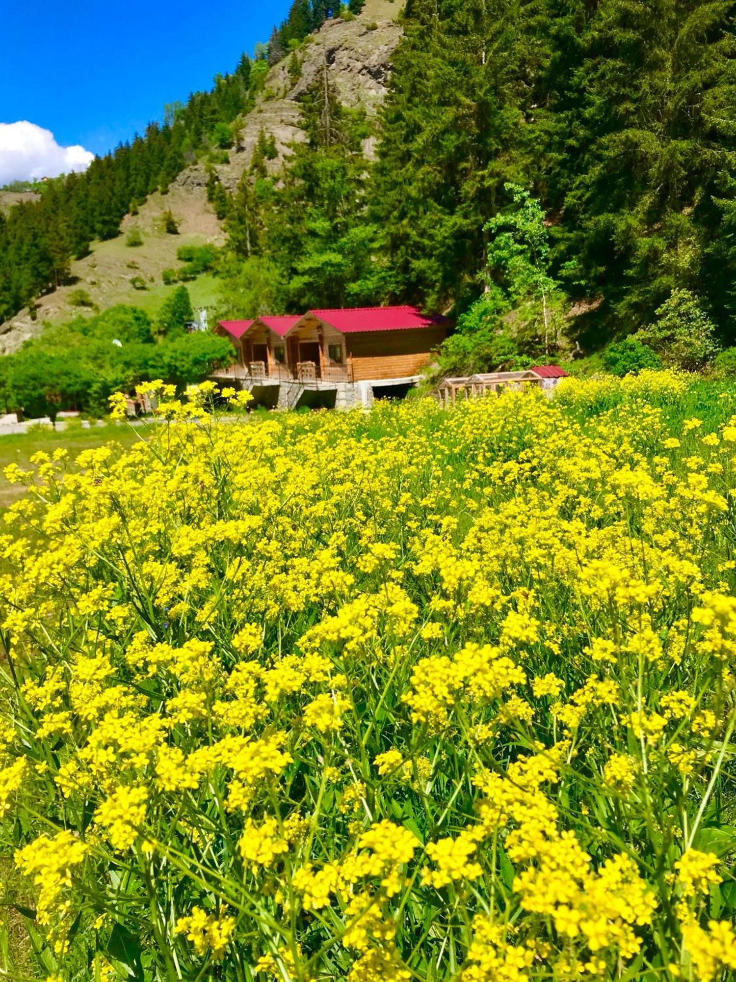 Hotel Green Valley Savsat Екстериор снимка